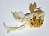 HIGHLY COMMENDED.....Sharryl Whiting